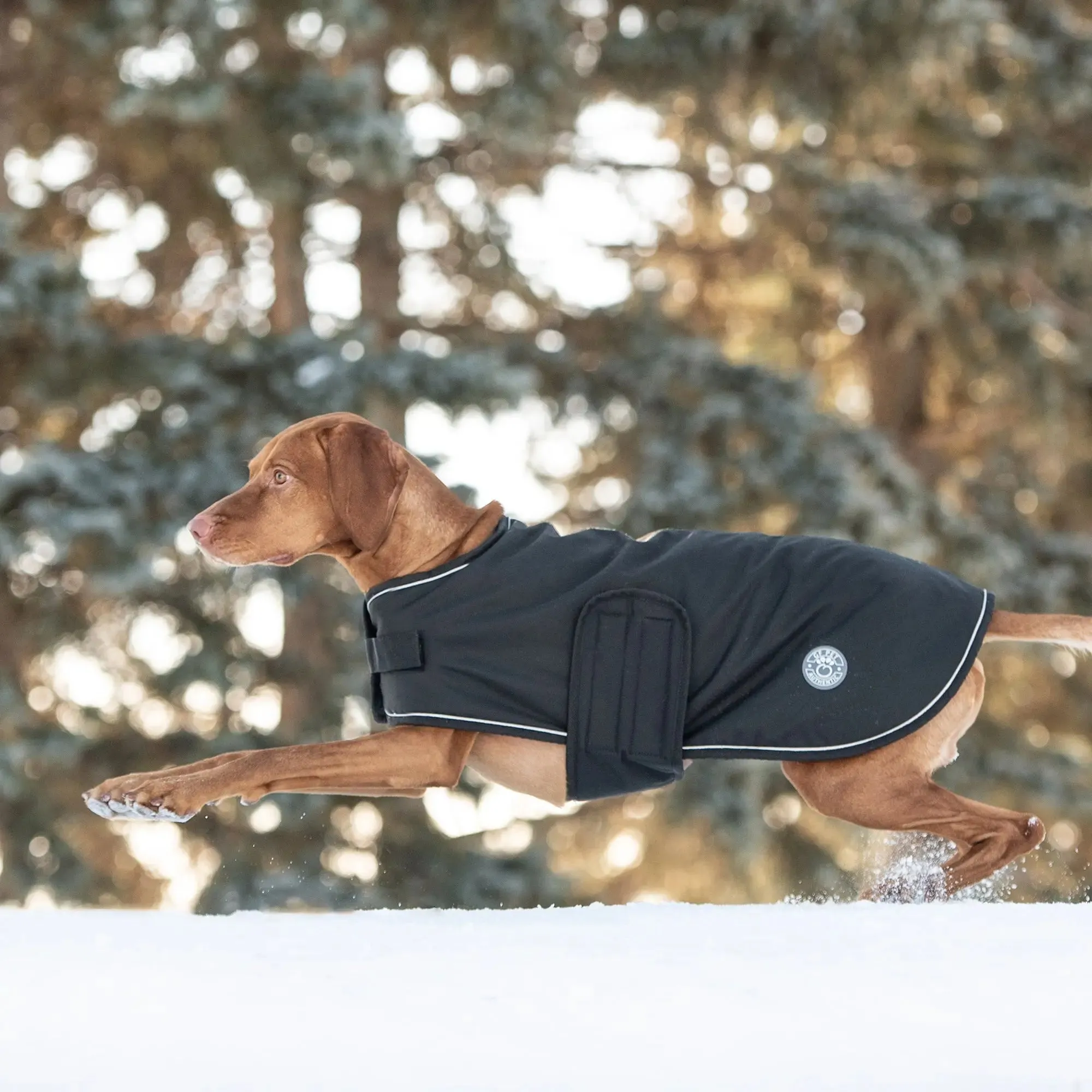 Blanket Dog Jacket | Black
