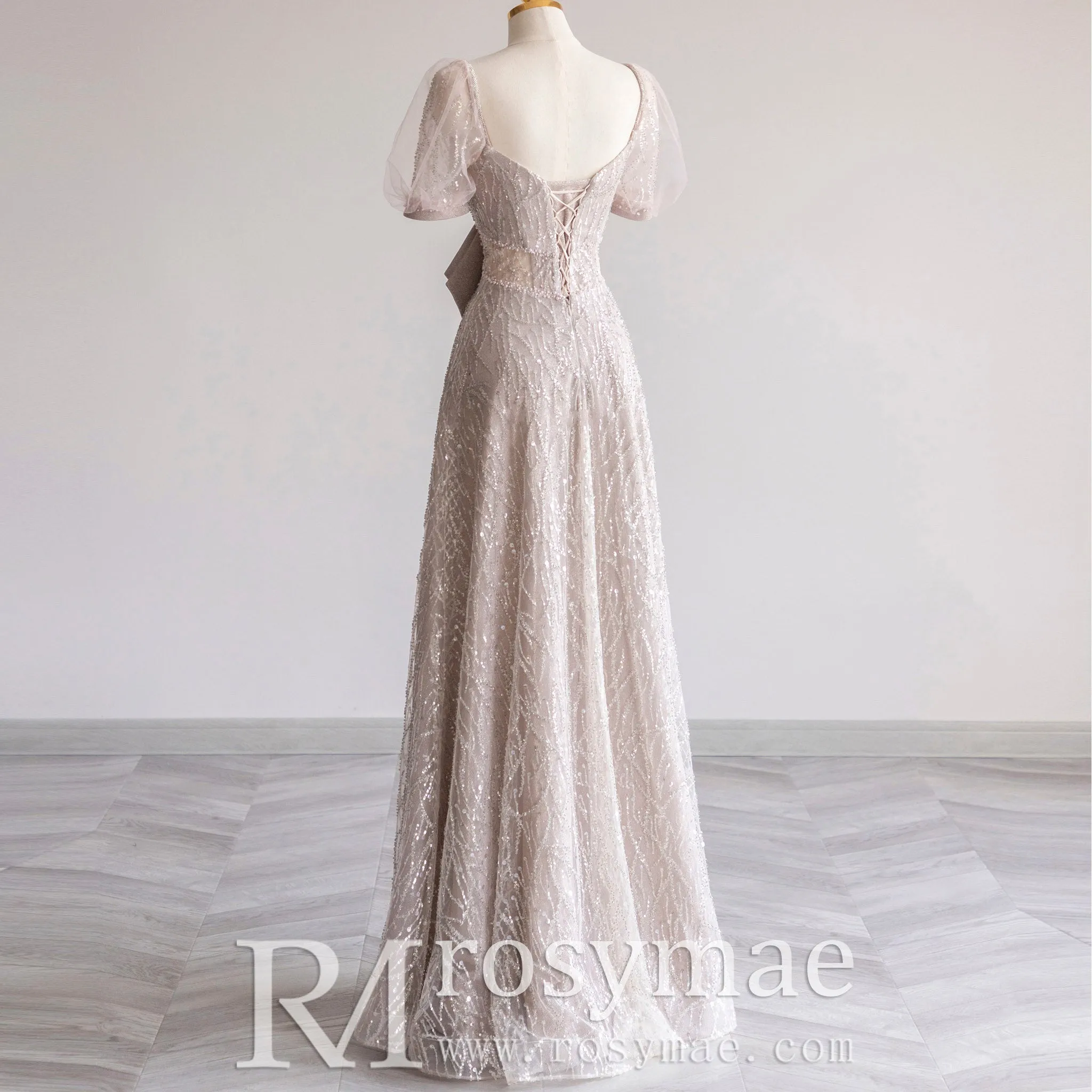 Sparkly Formal Gown Sheer Bodice Party Dress with Half Sleeve
